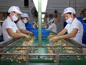 Mở rộng “cửa” xuất khẩu