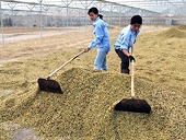 FTA Việt Nam - EU: Thách thức với nông sản Việt