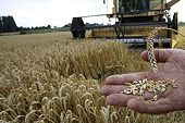 Châu Âu cắt giảm trợ cấp nông nghiệp 4% năm nay