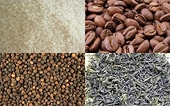 FTA liệu có mở đường cho nông thủy sản và thực phẩm Việt Nam vào châu Âu?