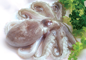 Tương quan mực, bạch tuộc Việt Nam - Trung Quốc tại thị trường Australia 