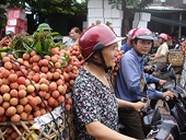 Nông sản Việt: 90% xuất thô