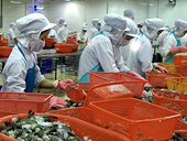 Nhật Bản sẽ nới lỏng điều kiện nhập khẩu tôm