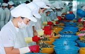 Giảm rào cản, ngành xuất khẩu tôm sẽ bứt phá