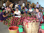 Vượt qua rào cản phi thuế quan