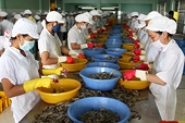 Xuất khẩu thủy sản sẽ gặp khó với quy định của Mỹ