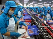 Việt Nam sẽ trở thành nước sản xuất cá tra bền vững