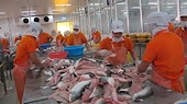 Mỹ thông qua dự luật gây khó cho cá da trơn Việt Nam