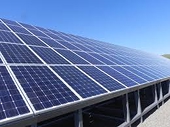 Mỹ cáo buộc Ấn Độ bảo hộ lĩnh vực năng lượng mặt trời