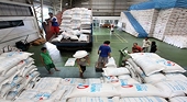 WB kêu gọi Philippines dỡ bỏ hạn ngạch nhập gạo