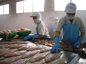 Chương trình thanh tra cá da trơn thực chất là bảo hộ thương mại