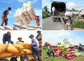 Xuất siêu 683 triệu USD nhờ FDI 