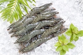 Ấn Độ: Xuất khẩu thủy sản tăng kỷ lục nhờ tôm 