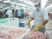 Mỹ tăng thuế chống bán phá giá cá tra lên gần gấp ba 