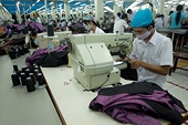Xuất khẩu sang EU: Cần hiểu luật chơi