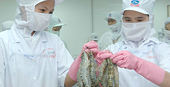 Thuốc “đắng” trong tôm xuất khẩu 