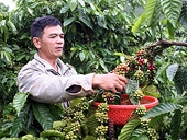 Kim ngạch thương mại Singapore-Việt Nam tăng 20%