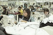 GSP tạo đà cho xuất khẩu vào EU