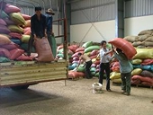 Xuất khẩu các nhóm hàng chủ lực giảm trong nửa đầu tháng 2