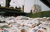 “Doanh nghiệp Việt nên học Philippines”