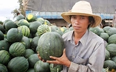 Giật mình cán cân thương mại Việt Nam - Trung Quốc: Nhập siêu tăng 100 lần trong 10 năm