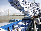 Sri Lanka sẽ nhập 100.000 tấn gạo để đảm bảo nguồn cung