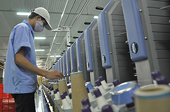 GDP có thể giảm 10% nếu thương mại Việt - Trung ngưng trệ