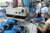 Giao thương Việt Nam-Tây Ban Nha tiếp tục tăng mạnh