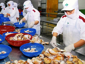EU sẽ kiểm tra chất lượng nhuyễn thể hai mảnh vỏ ở Việt Nam