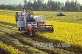 Việt Nam, Hàn Quốc tăng cường hợp tác nông nghiệp