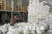 Năm 2014: Gạo Việt Nam sẽ phải cạnh tranh quyết liệt