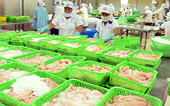 Dừng đầu tư cơ sở chế biến cá tra phile tại ĐBSCL