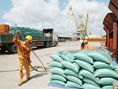 FTA Việt Nam - Liên minh Hải quan: Sớm hoàn tất