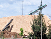 Xuất khẩu dăm gỗ, tinh bột sắn giảm mạnh vì Trung Quốc ép giá