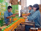 Doanh nghiệp nhỏ cần tận dụng lợi ích của công nghệ thông tin