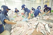 Đòi quyền lợi cho con cá tra