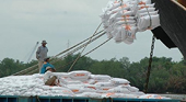 Philippines nhập thêm 400.000 tấn gạo, Việt Nam có cơ hội?
