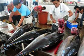 Sản lượng cá ngừ Phillipines tăng