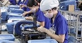 8 năm gia nhập WTO: Trâu chậm uống nước đục