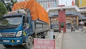Thương mại biên giới Việt - Trung: Vẫn tăng trưởng mạnh