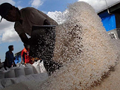 Indonesia ước tính dư thừa 4,2 triệu tấn gạo trong năm nay