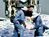 Thuế nhập khẩu Ure và DAP: Dự kiến tăng kịch trần cam kết WTO