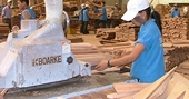 Ngành nông, lâm, thủy sản xuất siêu gần 5 tỷ USD