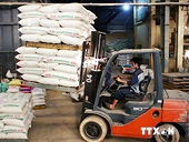 Nhập khẩu nông lâm thủy sản tăng, mặt hàng ngô có đột biến