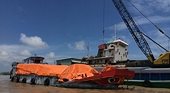 Tranh mua gạo xuất tiểu ngạch sang Trung Quốc