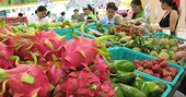 Mất dần thế độc tôn - điều gì đang xảy ra với thanh long Việt?
