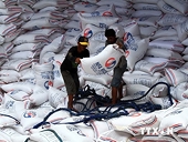 Philippines dự kiến phải nhập 1,4 triệu tấn gạo trong năm nay