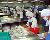 Xuất khẩu tôm năm 2014 có thể vượt 3,5 tỷ USD