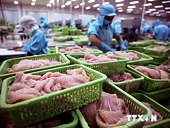 Nâng giá trị xuất khẩu cá tra: Không thể sản xuất manh mún