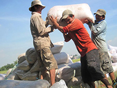 Trung Quốc vẫn nhập khẩu gạo tiểu ngạch từ Việt Nam
